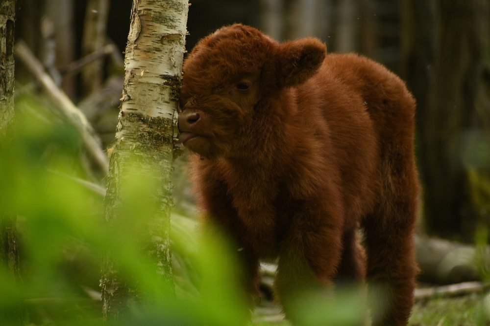 Photograph by Татьяна Крахина
