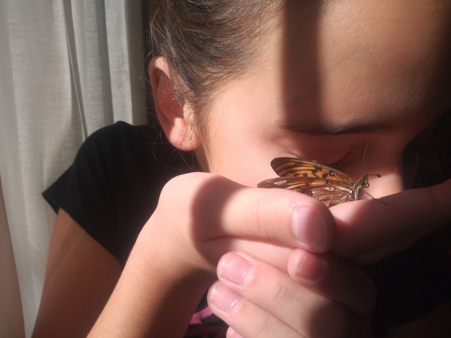 Photo #4776359