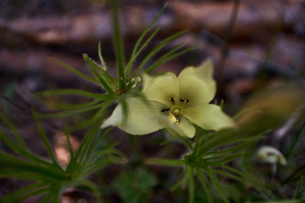 Фотография автора Игорь Игоревич