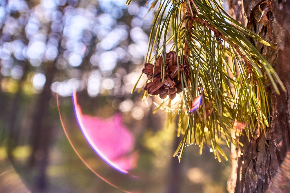 Фотография автора Игорь Игоревич