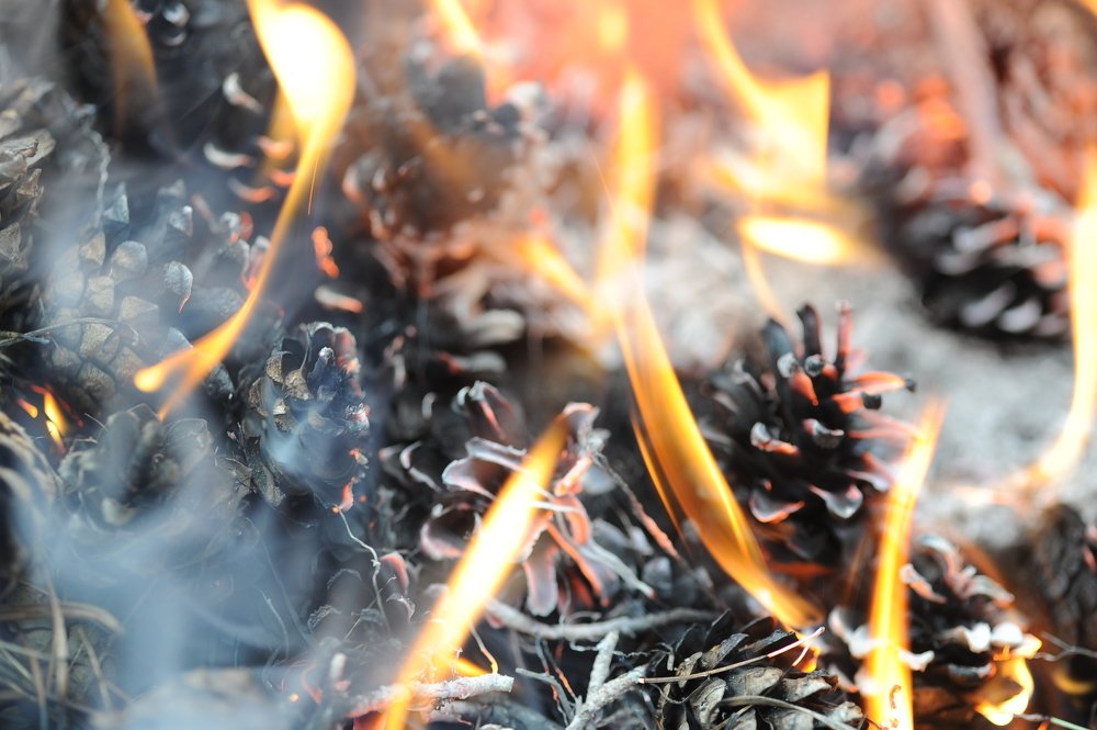 Photograph by петр чиков