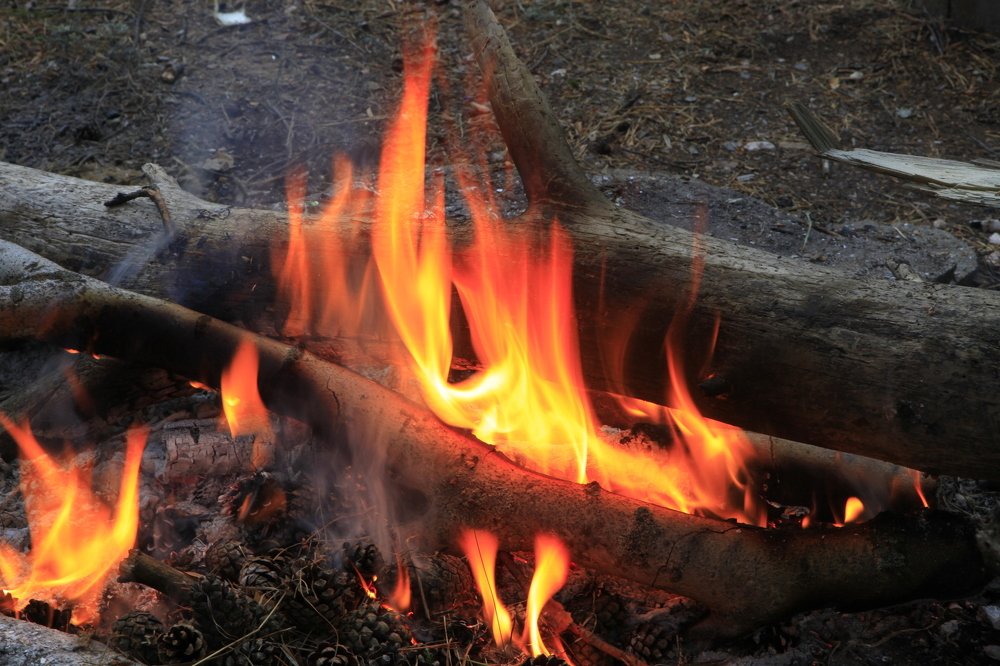 Photograph by петр чиков