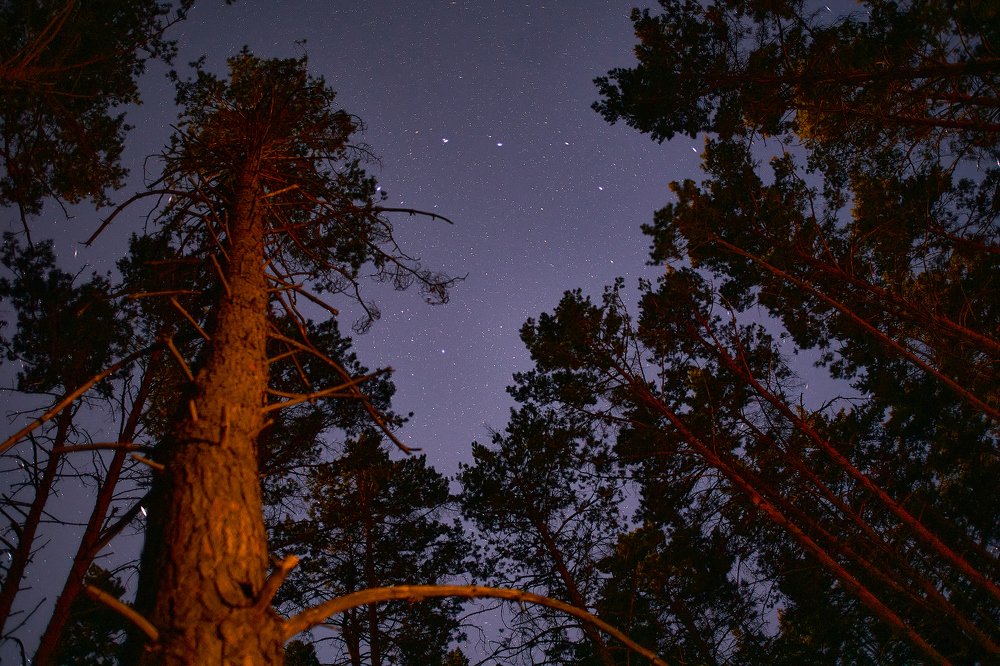 Фотография автора Игорь Игоревич