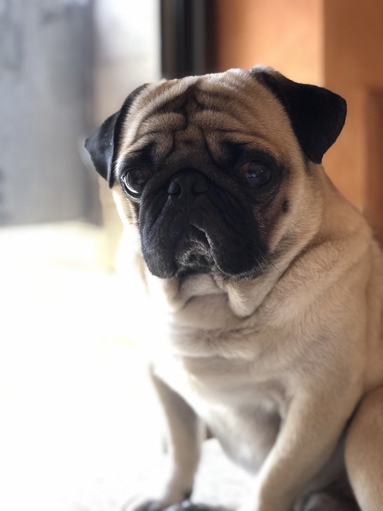 Photograph by Jonna Sabenorio