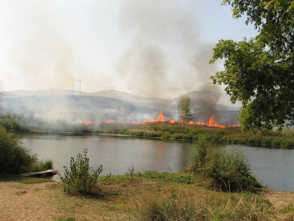 Photograph by петр чиков