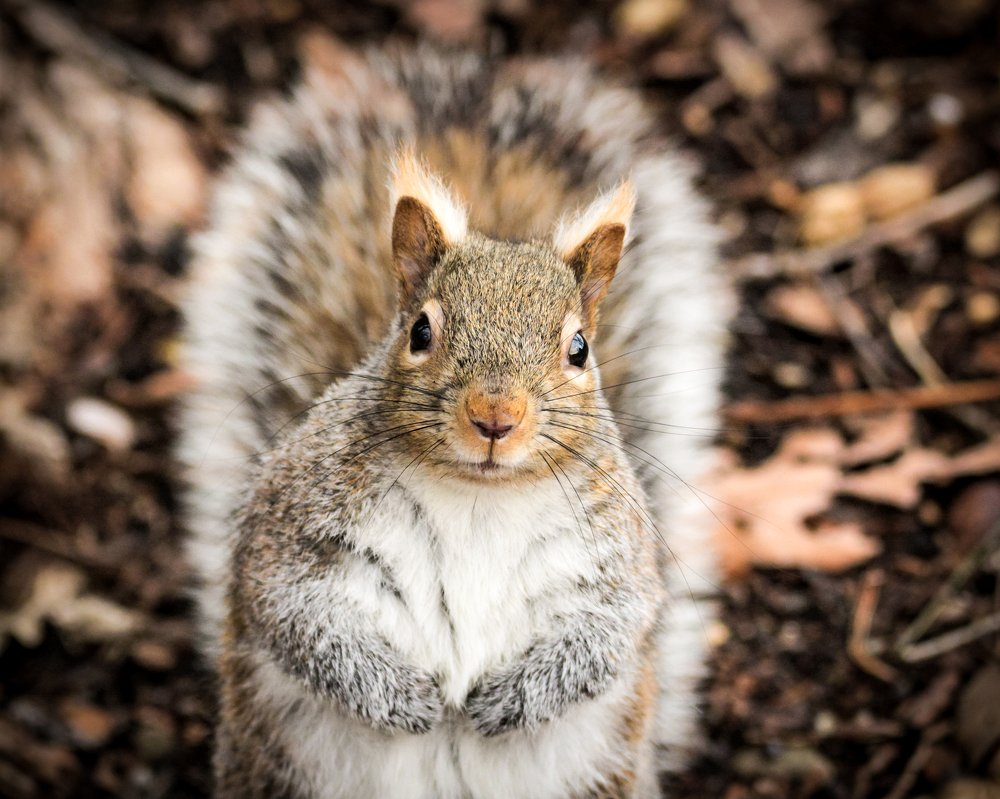 Photograph by JAMES BAILEY