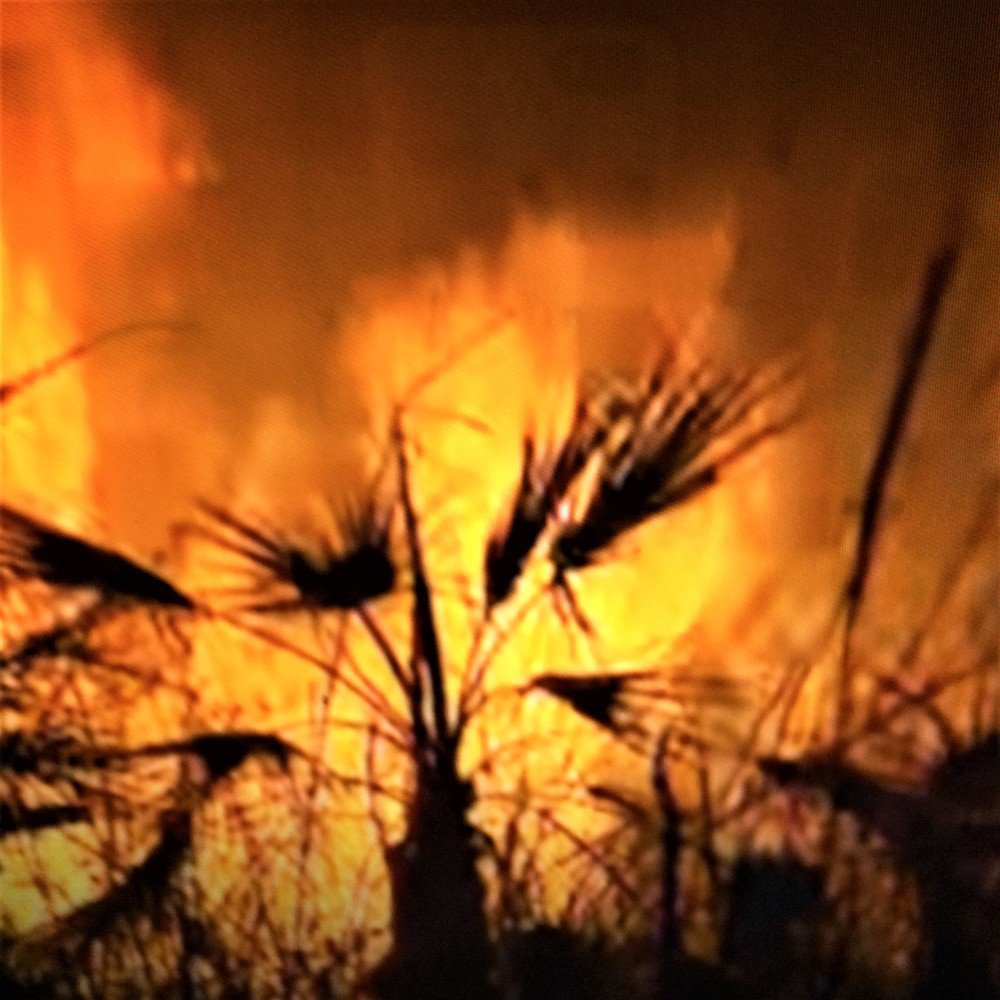 Photograph by Галина