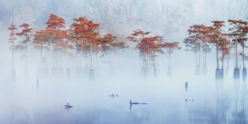 Photograph by Alex Mironyuk