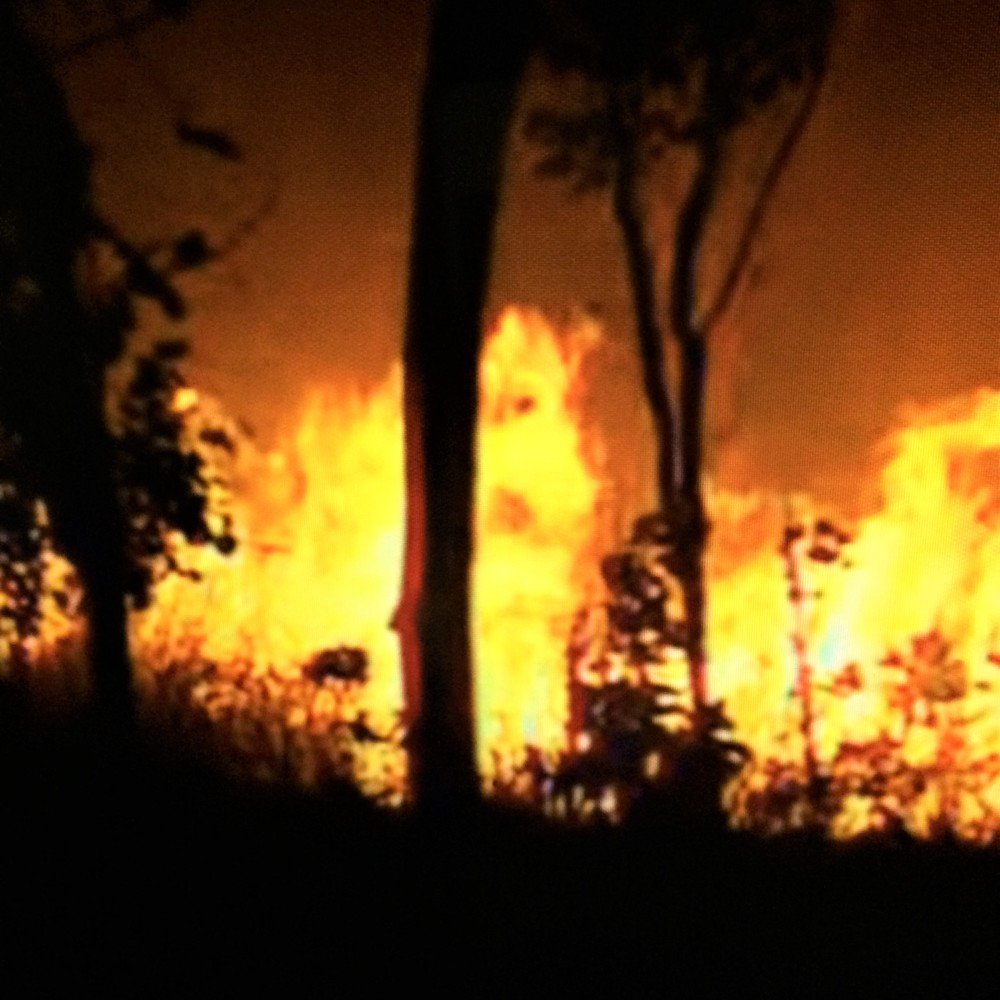 Photograph by Галина