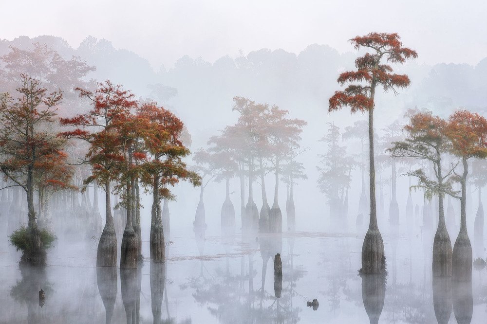 Photograph by Alex Mironyuk