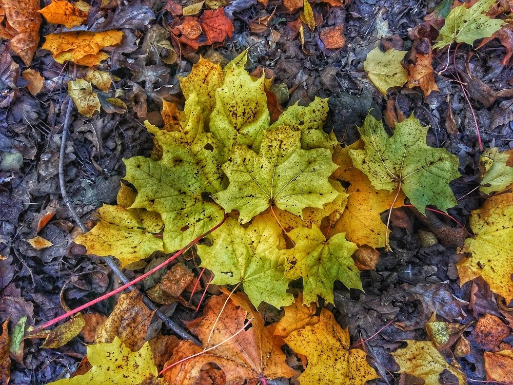 Photograph by Iгор Ситар