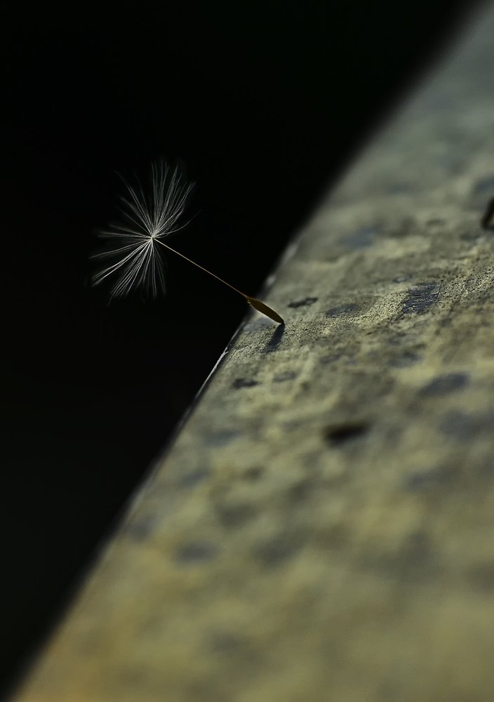 Photograph by 