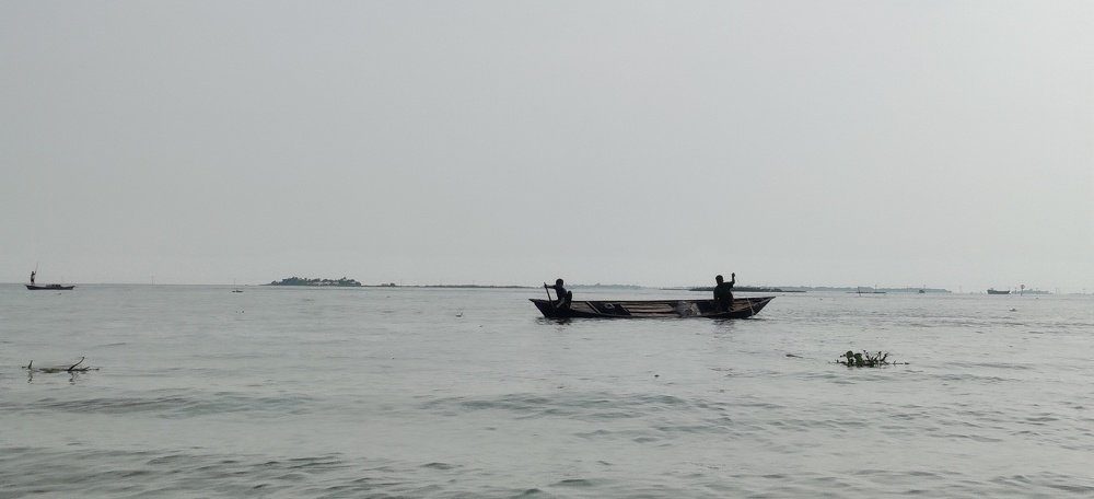 Photo #4776714