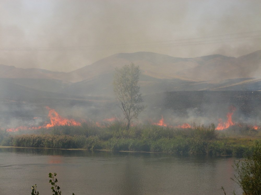 Photograph by петр чиков