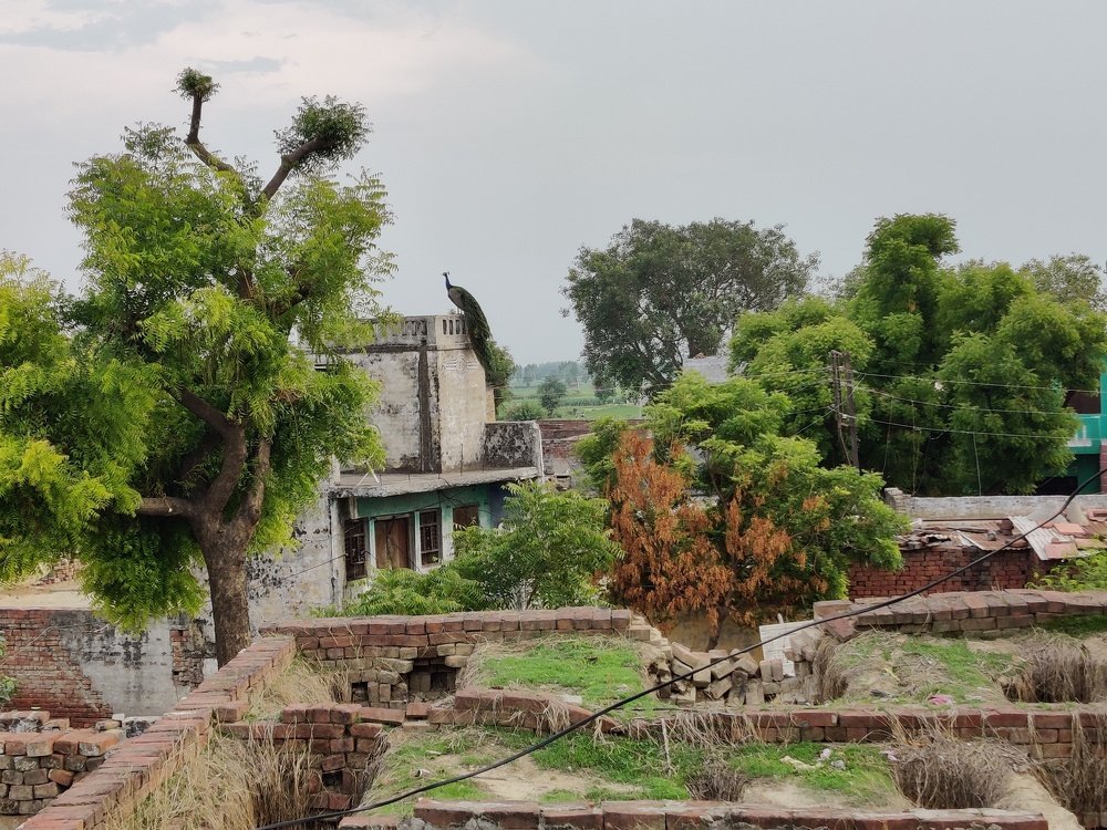 Photograph by Anjali Bhardwaj