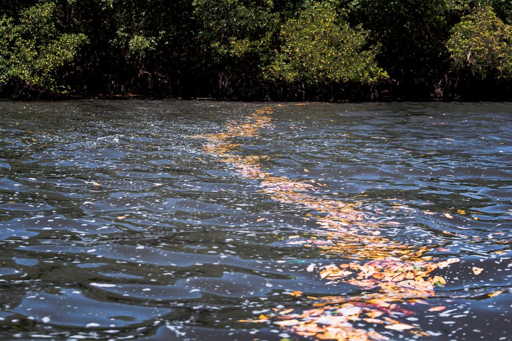 The silhouette of the waters