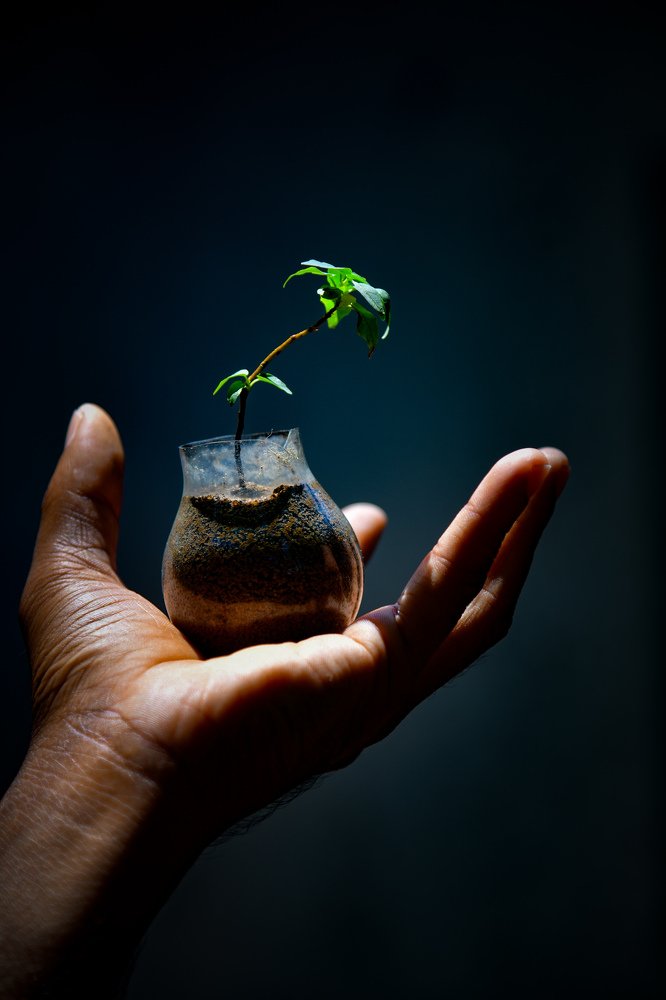 Photograph by PRABAGARAN V