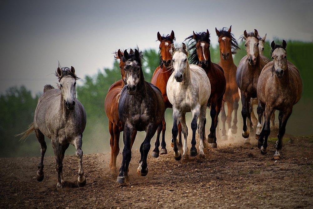 Photograph by Milan Uhrin