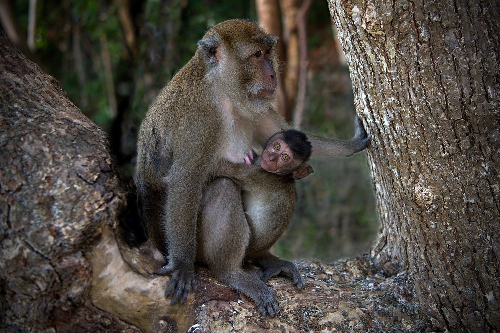 Photograph by Milan Uhrin