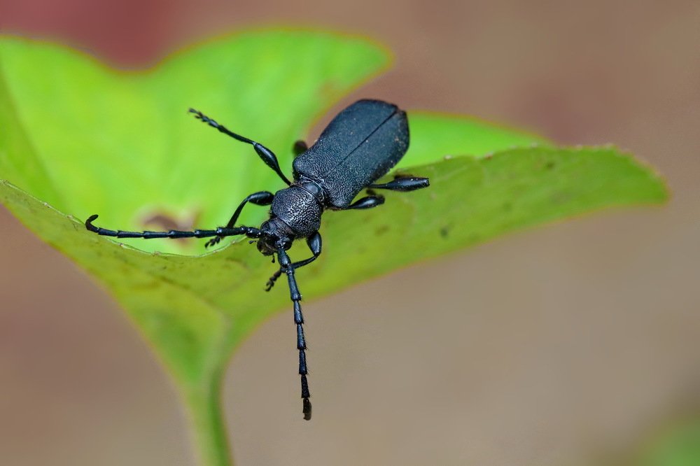 Photograph by Игорь Осипов