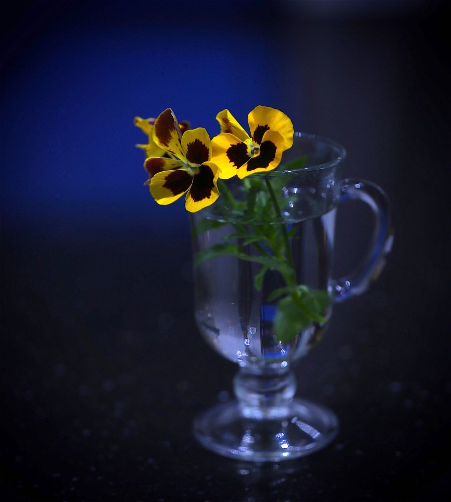 Photograph by Nataliya Mochernyuk