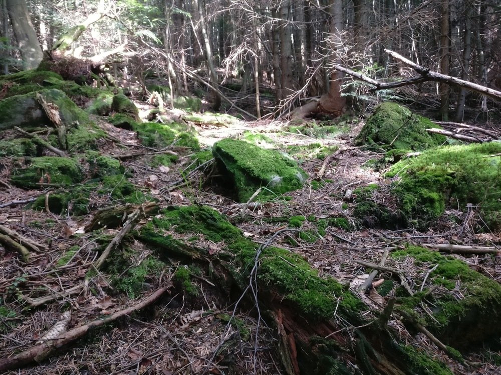 Photograph by Ольга Андрусив