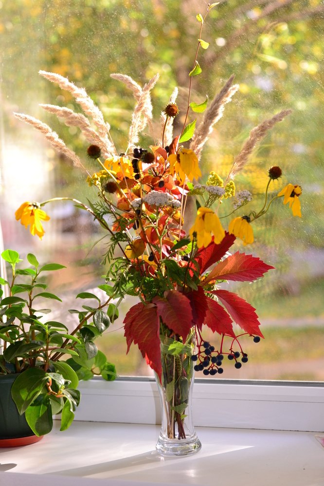 Photograph by Марина Магадиева