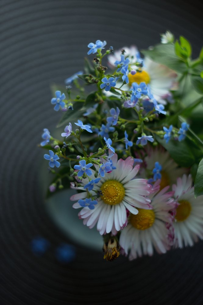 Photograph by Ирина Мищенко