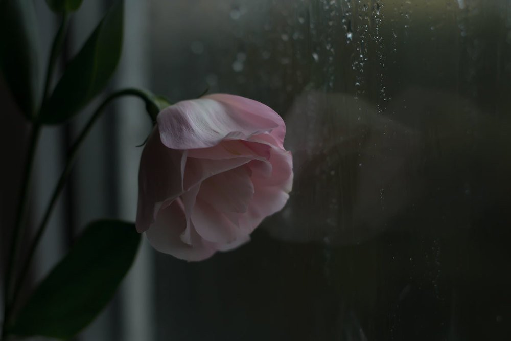 Photograph by Ирина Мищенко