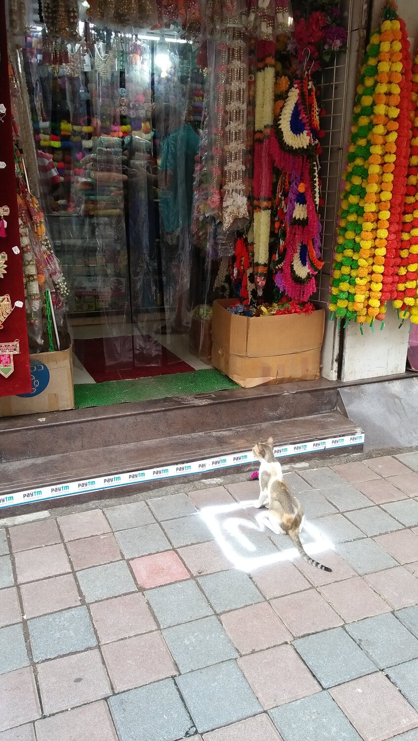 WAITING  (Social Distance)