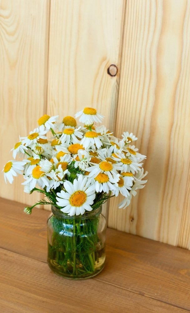 Photograph by  Светлана