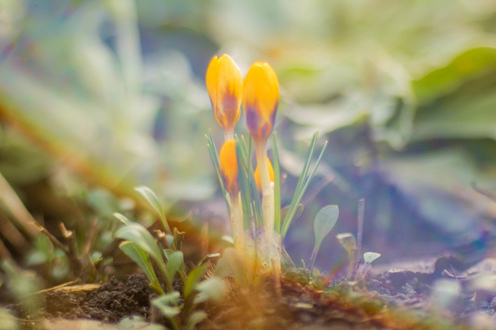 Photograph by Роман Троцан