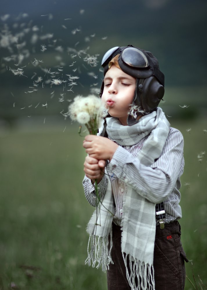 Фотография автора Анна Василенко