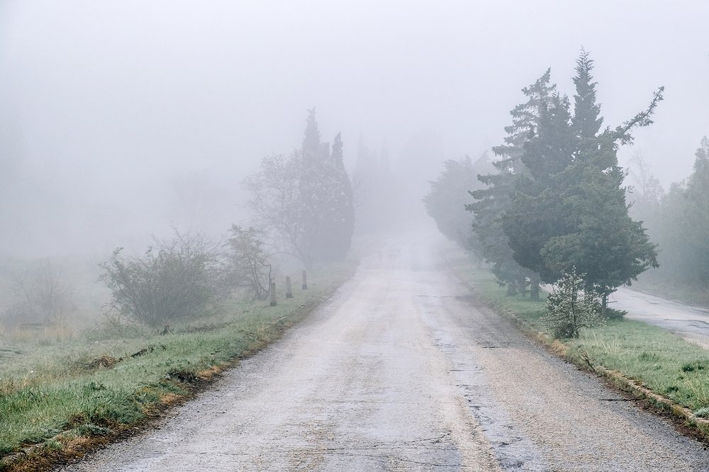 Photograph by Ольга Воронова