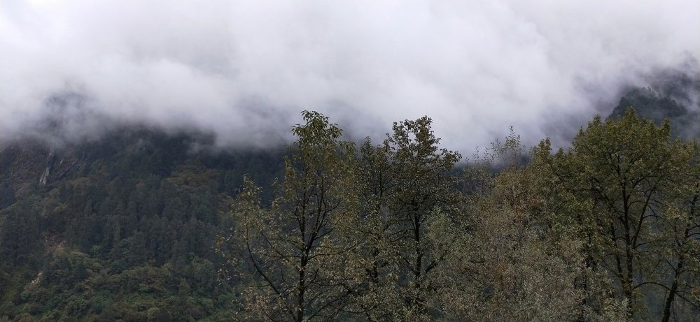 Photo #4777339