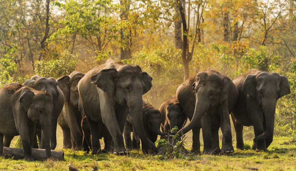 Фотография автора Mukul Mukherjee