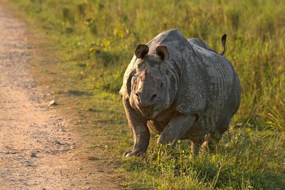 Фотография автора Mukul Mukherjee