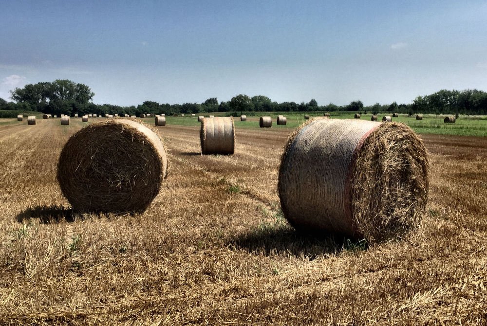 Photograph by sergio maritan