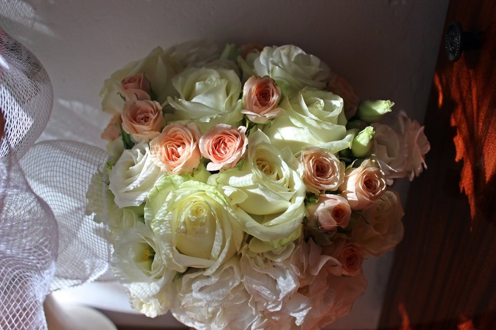 Photograph by Татьяна Пальчикова