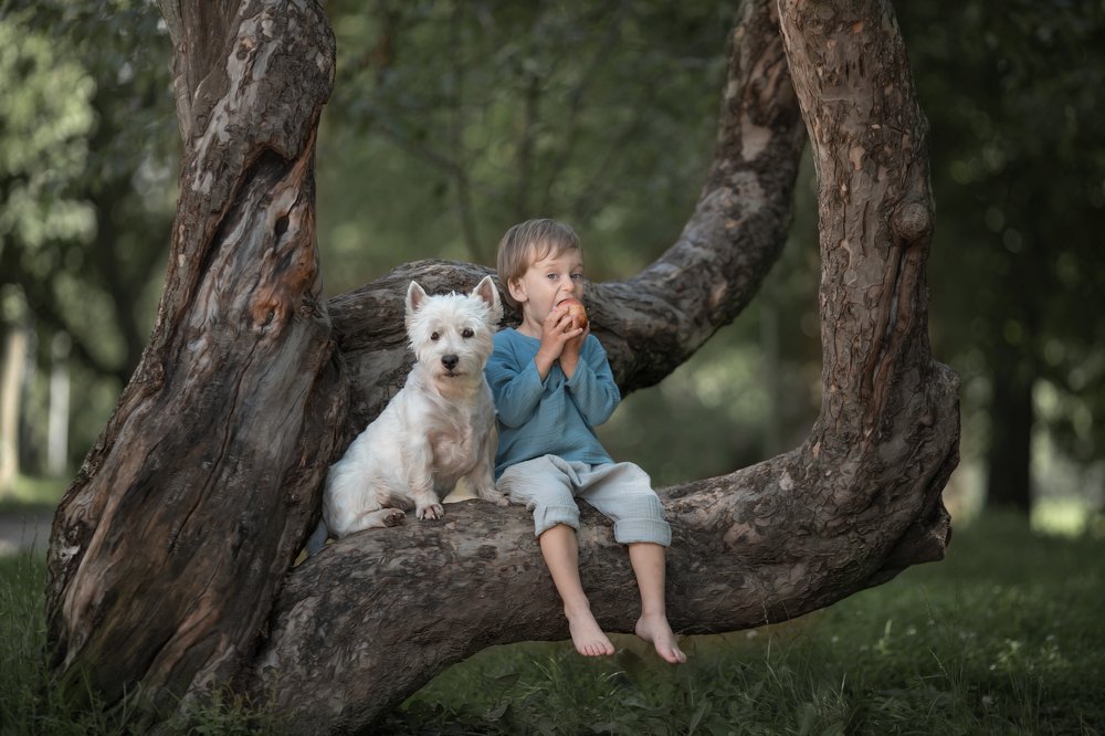 Первое яблоко
