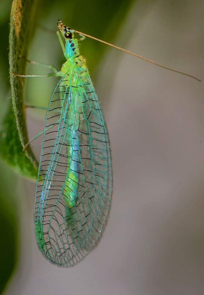 Photograph by Александр Шипиленко