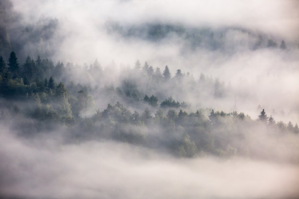 Photograph by Marcin Mirek