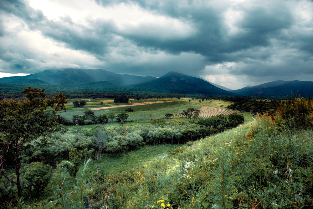 Photograph by Анастасия Клементьева