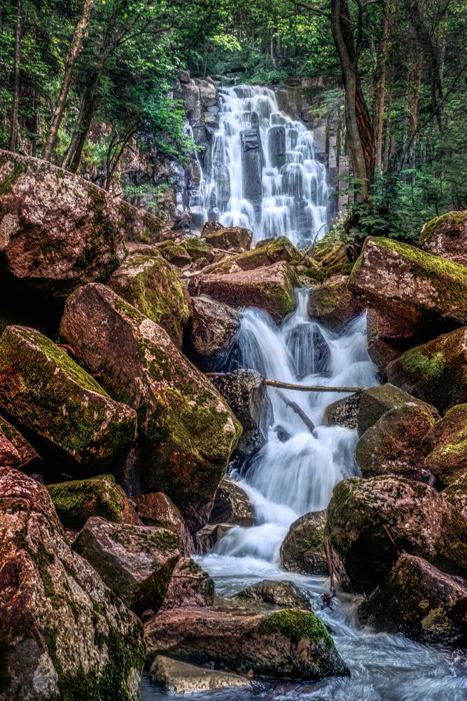 Photograph by Анастасия Клементьева