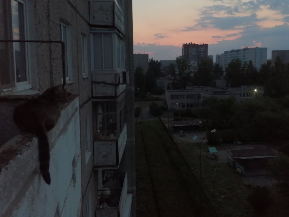 Photograph by Софья Коренистова