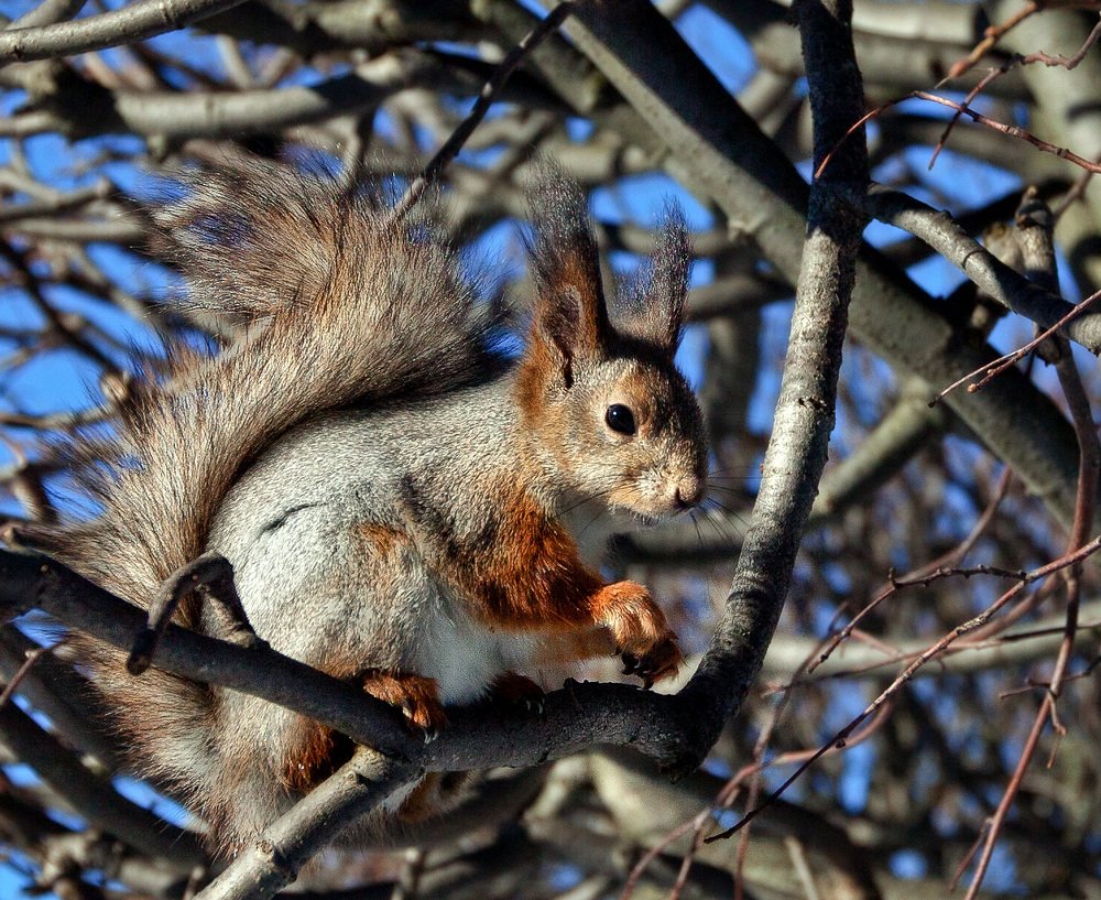 Фотография автора Ольга Виноградова