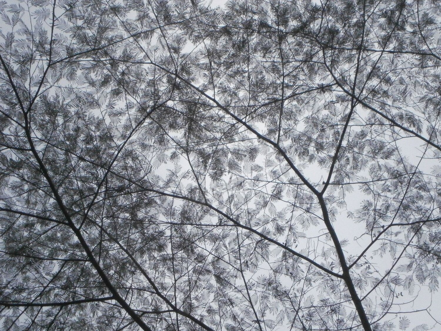 Transparencias