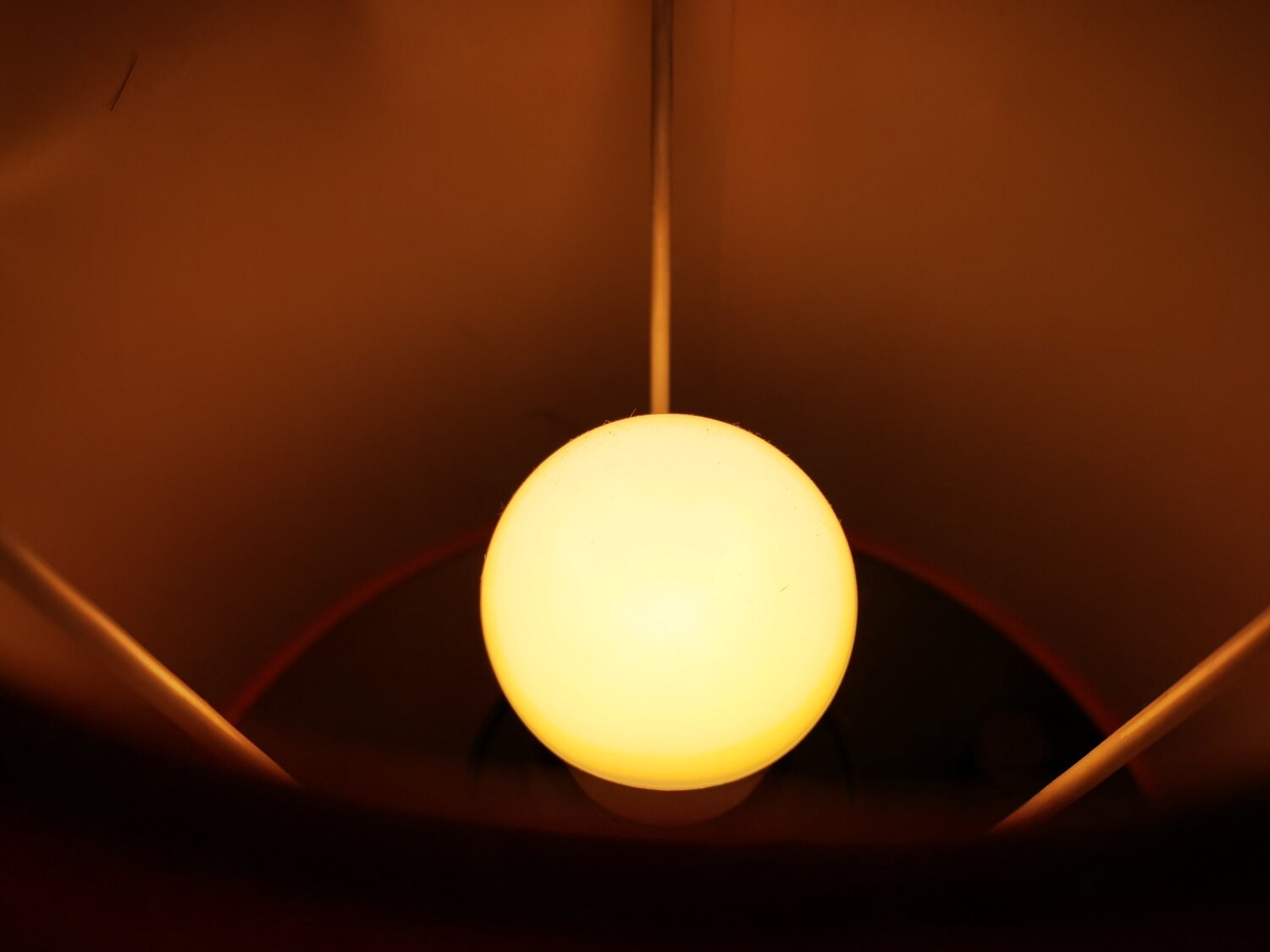 Photo #4777782
