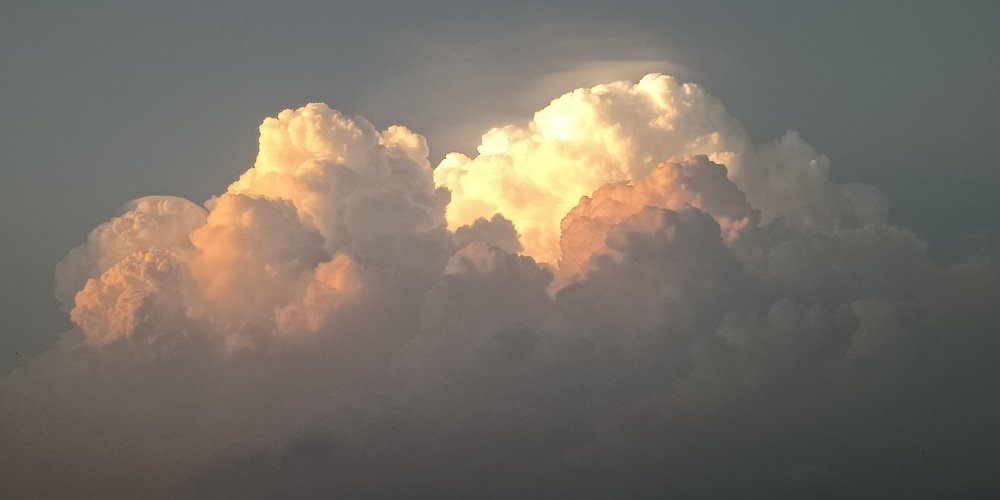 Photo #4777814