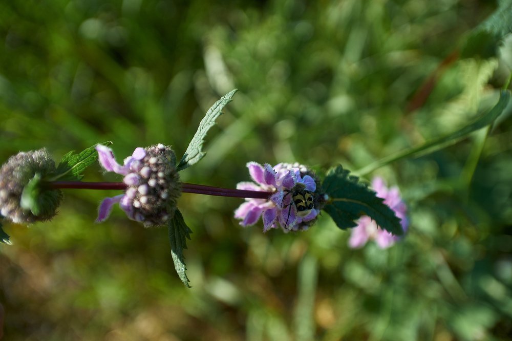 Фотография автора Игорь Игоревич